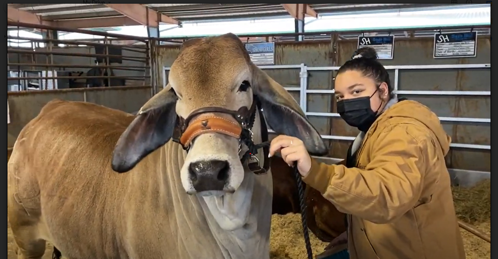Livestock builds confidence, changes lives of young people 